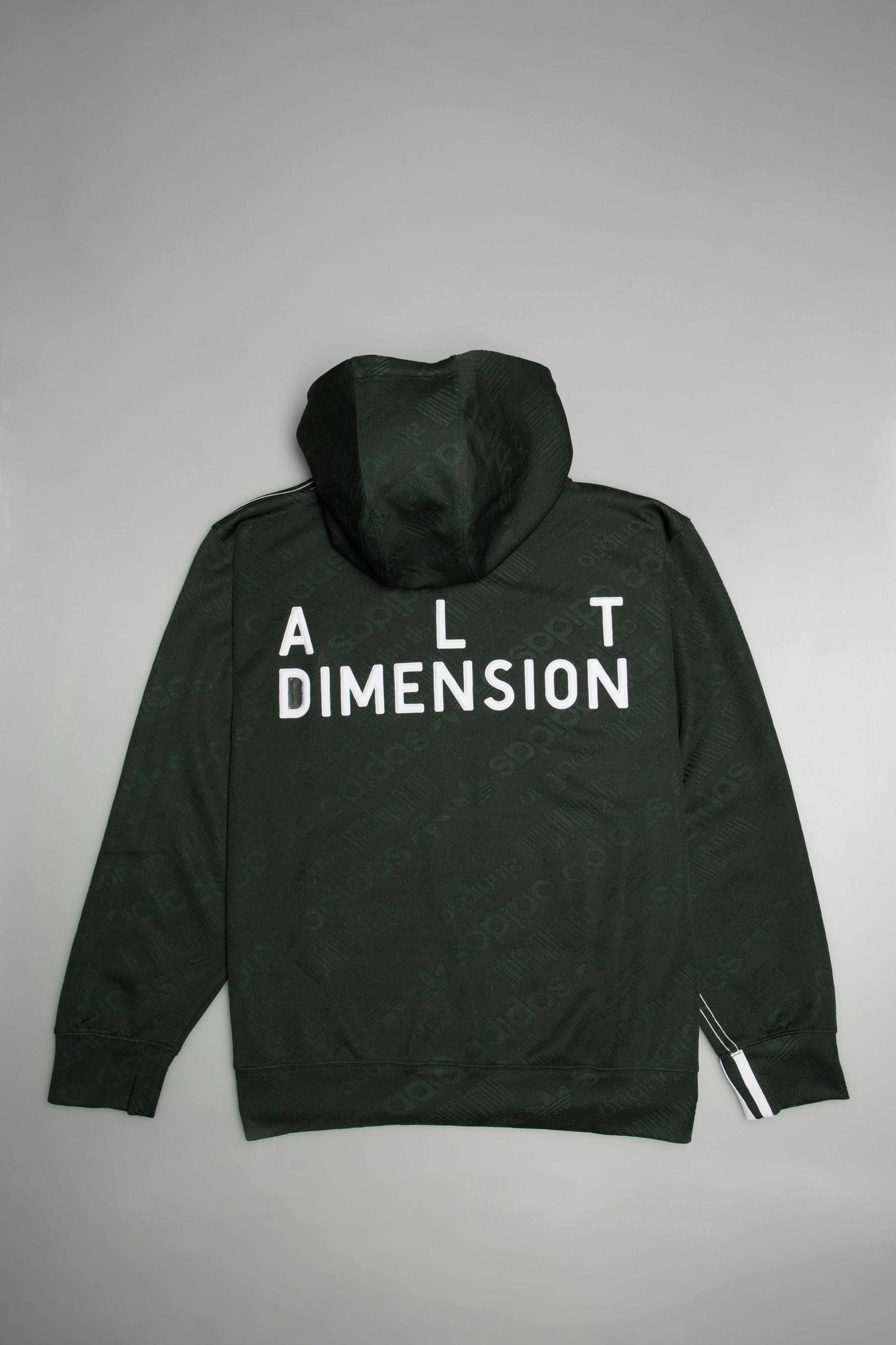 Alexander Wang Collection Jaquard Hoodie Green Green