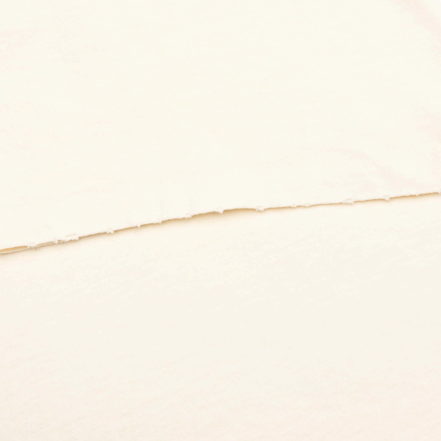 Student Coach Tee Archival White