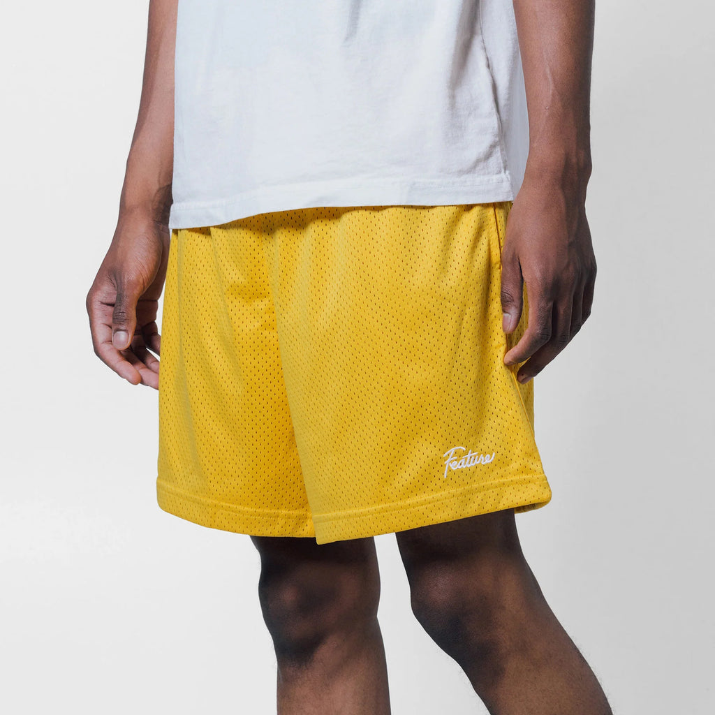West Mesh Shorts Brown