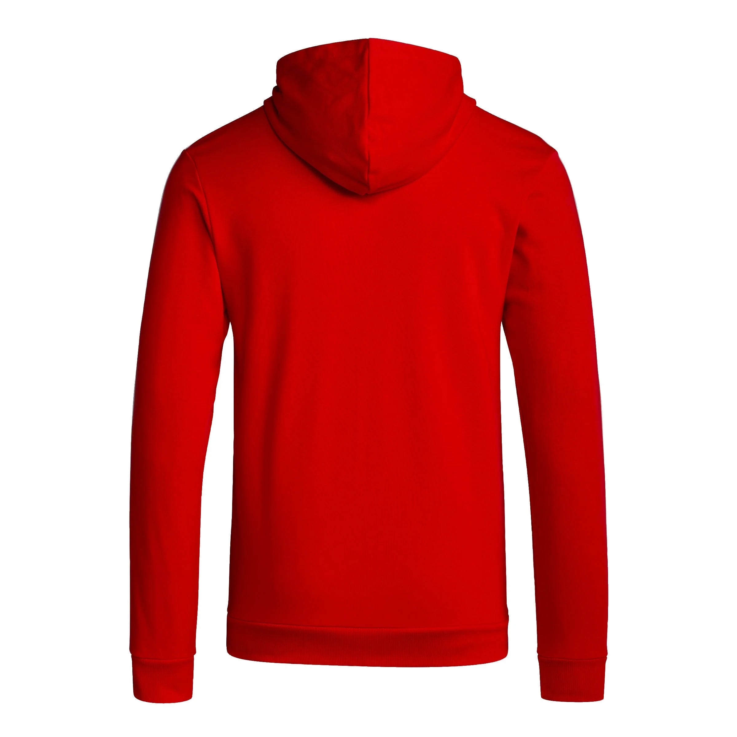 adidas Bayern Munich DNA Full Zip Hoodie 23 24