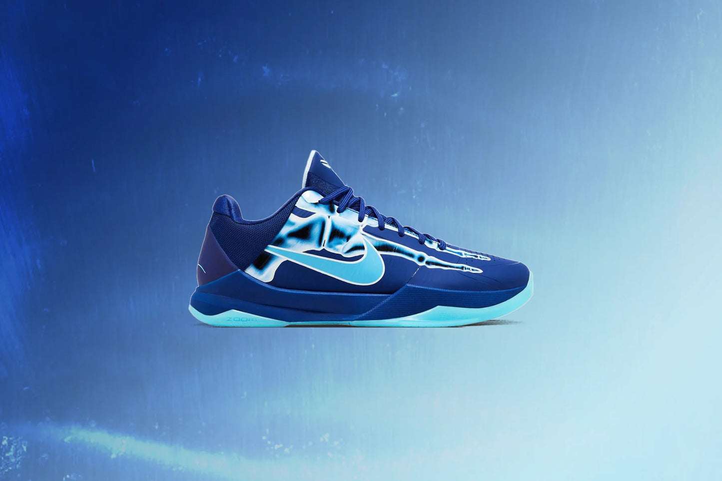 Kobe V Protro X Ray Deep Royal Blue Baltic Blue