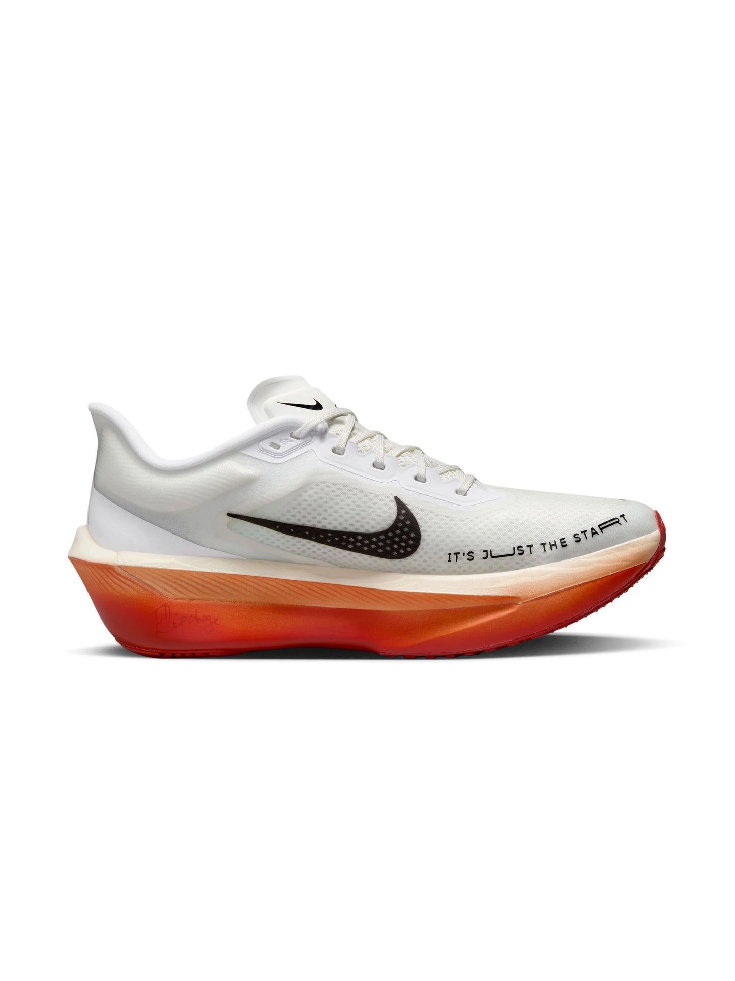 Nike Zoom Fly 6 Mens Shoes