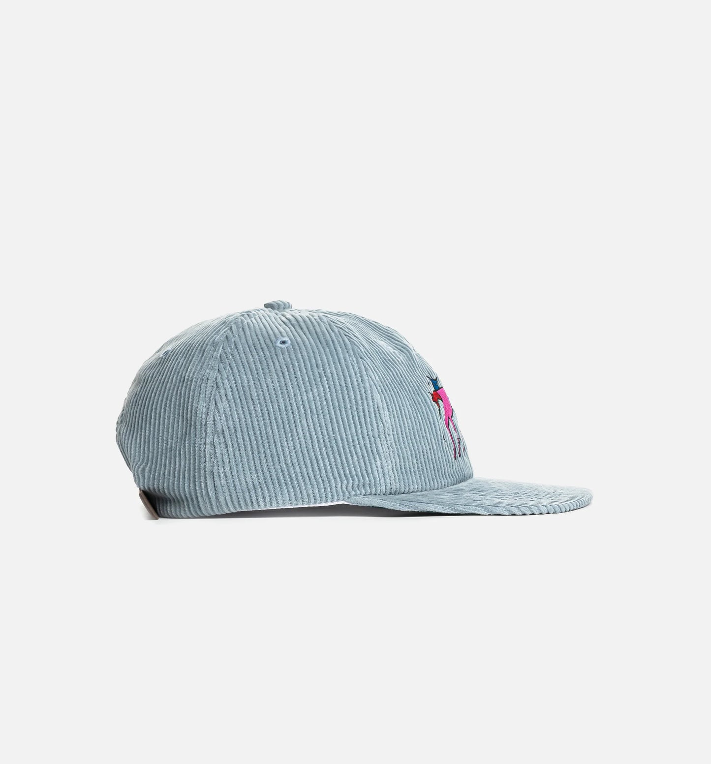 The Zoomies 6 Panel Mens Hat Blue