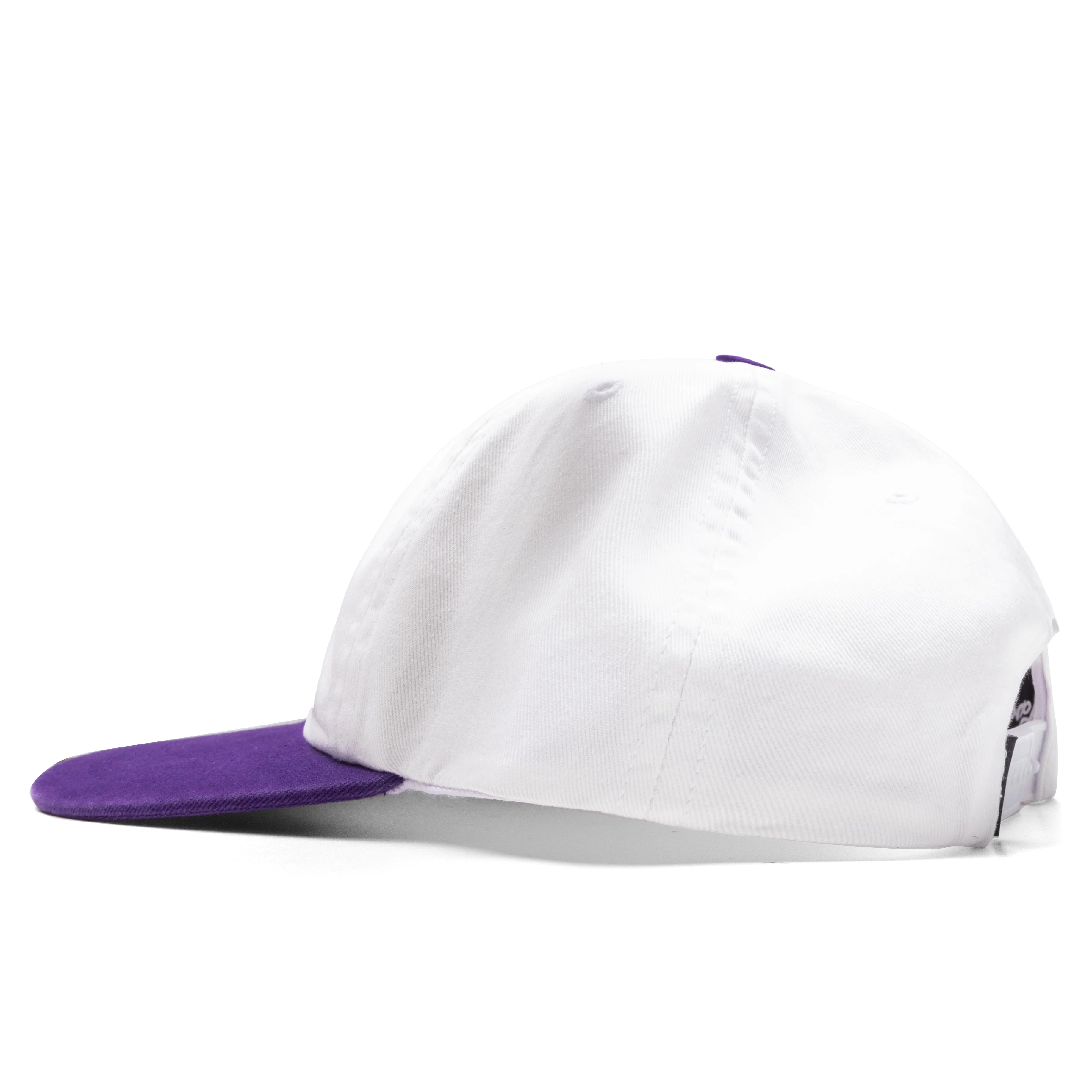 Repeat Pea 6 Panel Hat Purple