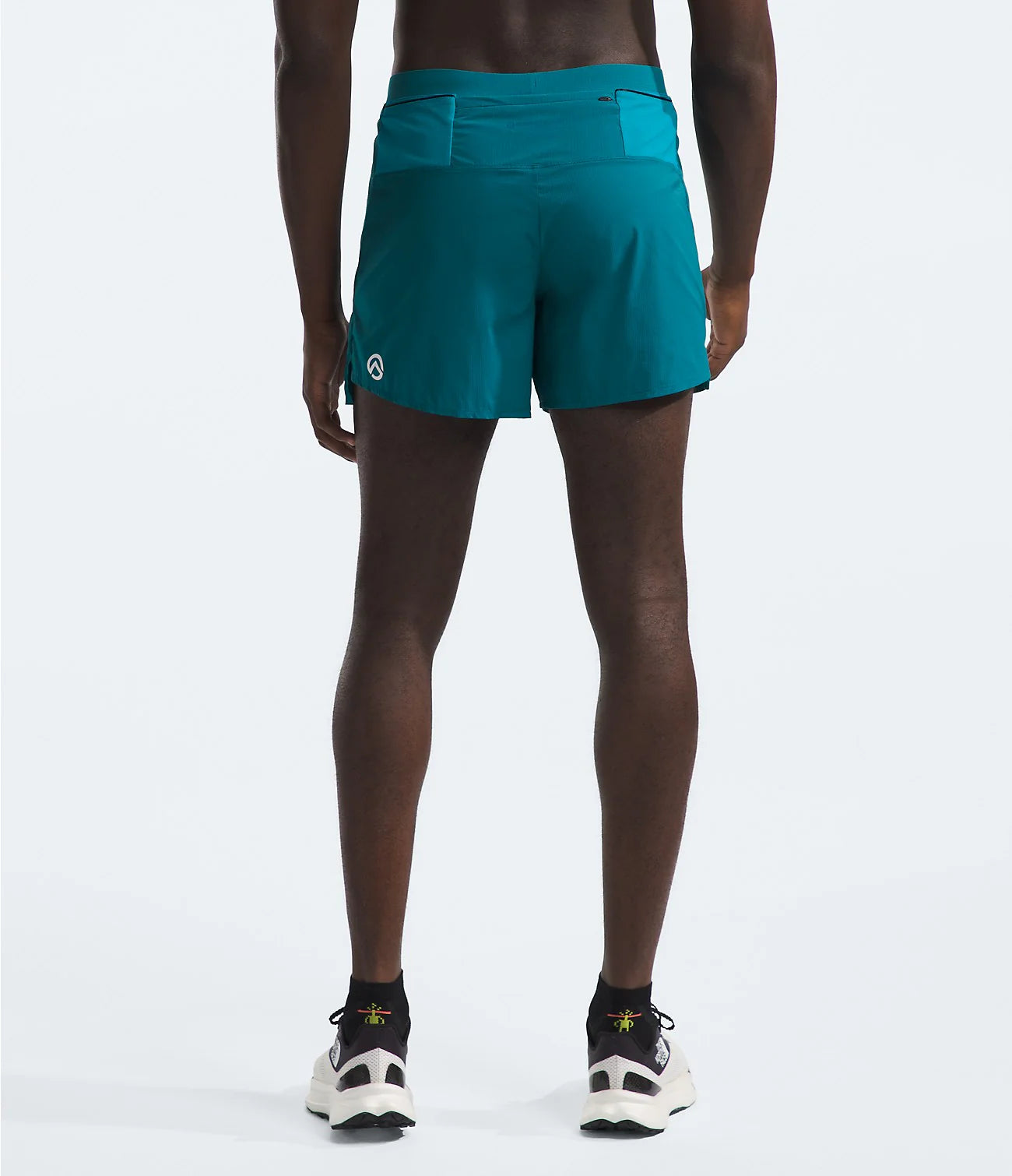 Mens North Face Summit Series Pacesetter 5 Shorts