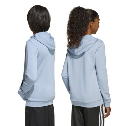 adidas Argentina Anniversary DNA Hoodie Sky White
