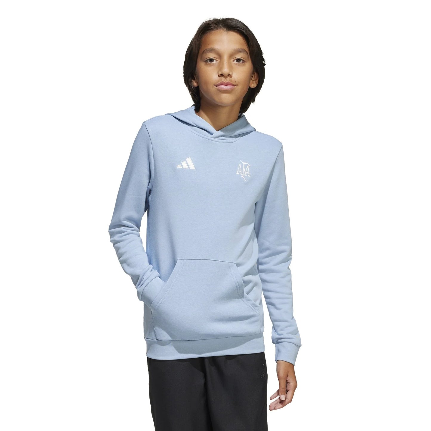 adidas Argentina Anniversary DNA Hoodie Sky White