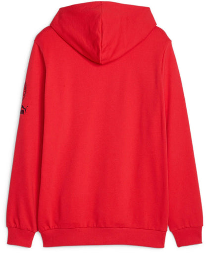 PUMA AC Milan FtblCore Graphic Hoody