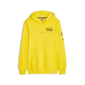 PUMA Borussia Dortmund FtblCore Graphic Hoody