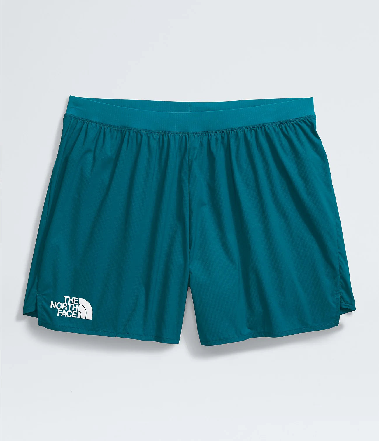 Mens North Face Summit Series Pacesetter 5 Shorts