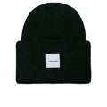 Oversized Beanie Forest