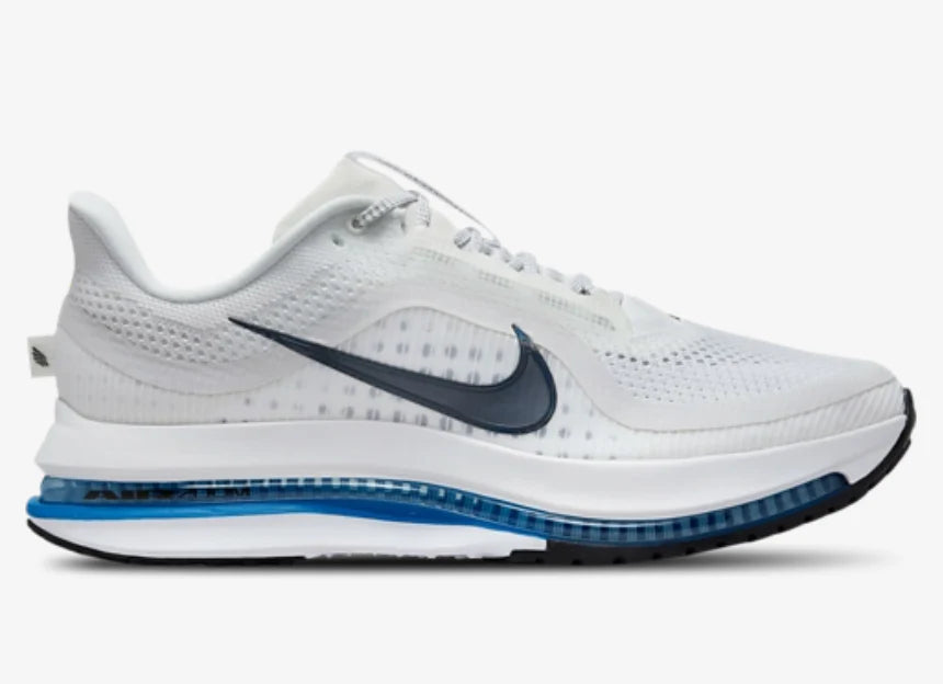 Mens Nike Pegasus Premium