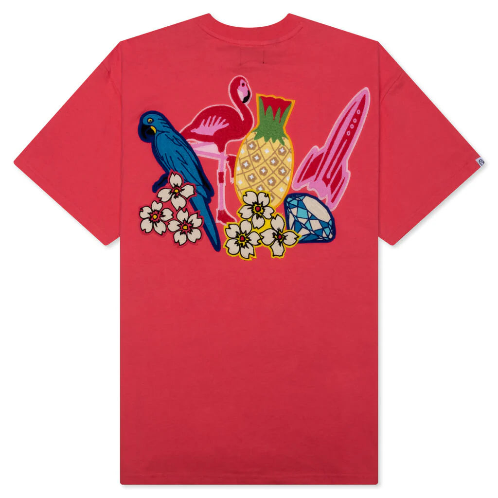 BB Arch S S Knit Rouge Red