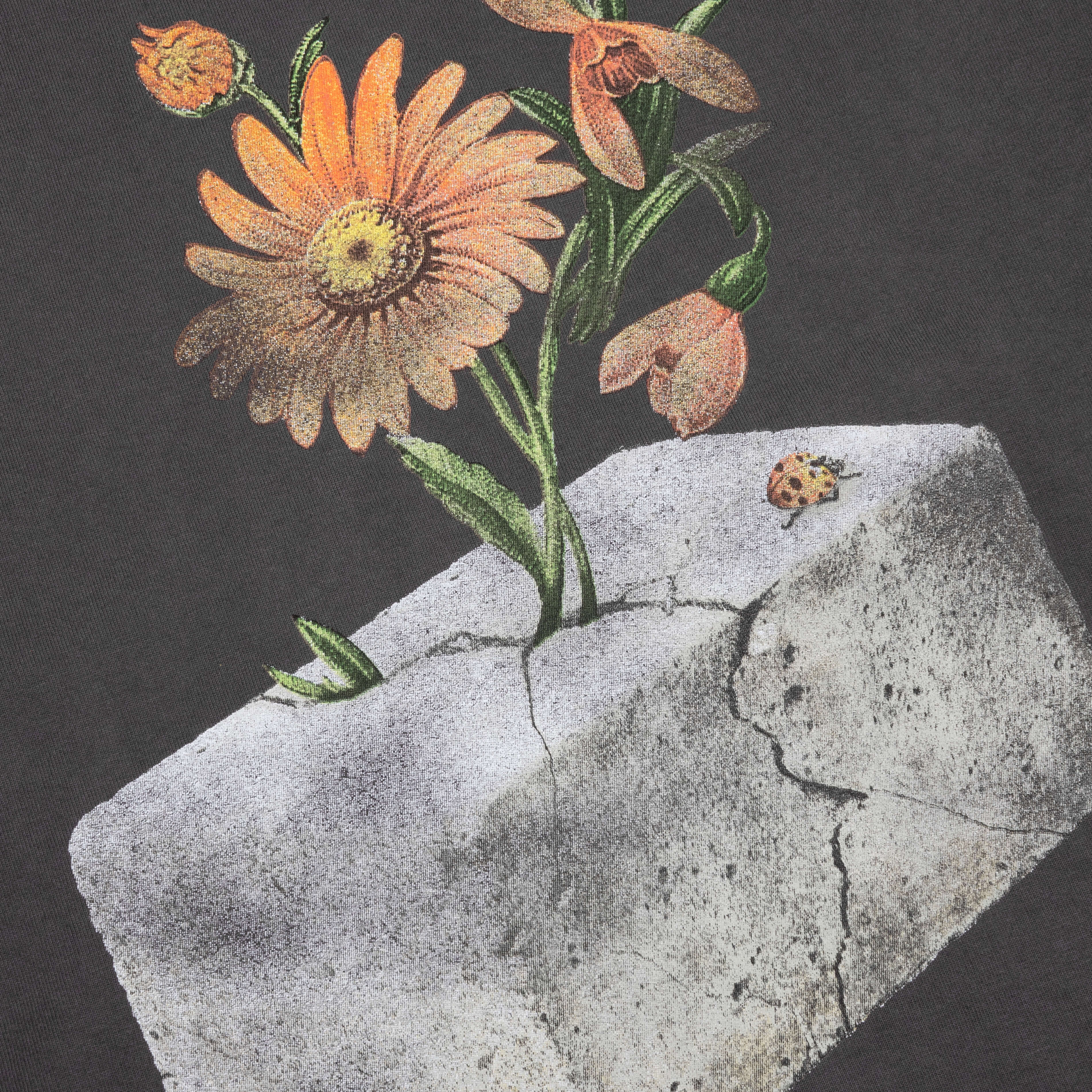 Concrete 20 S S Tee Charcoal