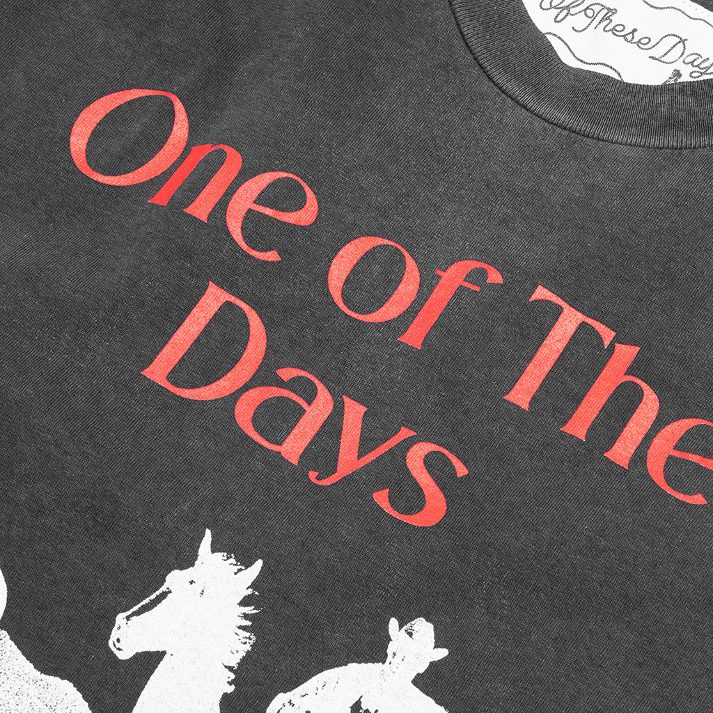 Across the Plains T Shirt Sun Faded Black