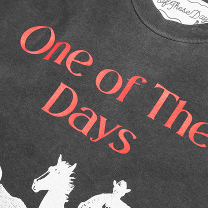 Across the Plains T Shirt Sun Faded Black