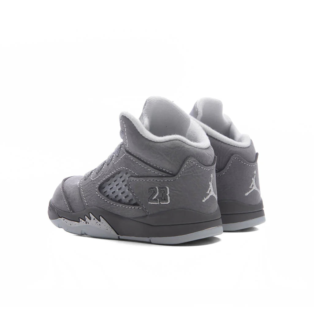 Air Jordan 5 Retro Wolf Grey TD Light Graphite White Wolf Grey