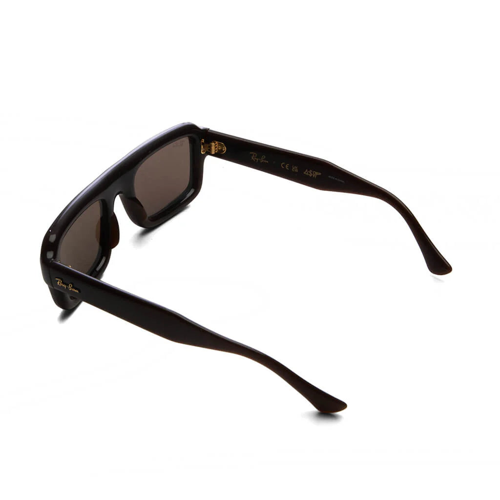 Ray Ban x AAP Rocky Flacko Puffer Transparent Brown Frame Dark Brown Lens