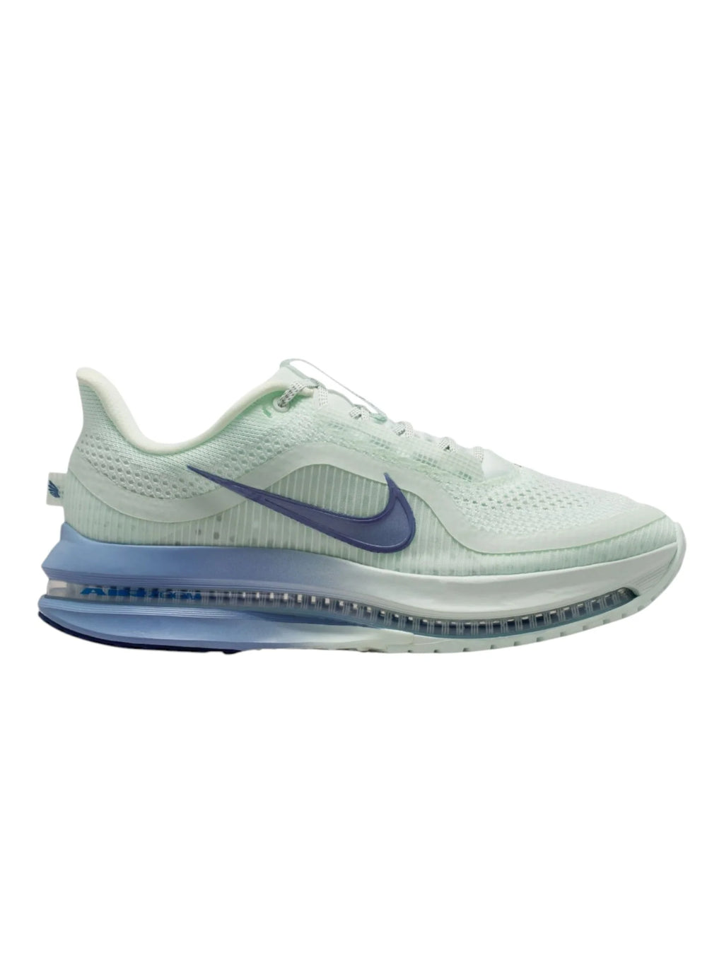 Nike Pegasus Premium Womens Shoes