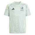 adidas Youth Mexico Away Jersey 2024 Linen Green