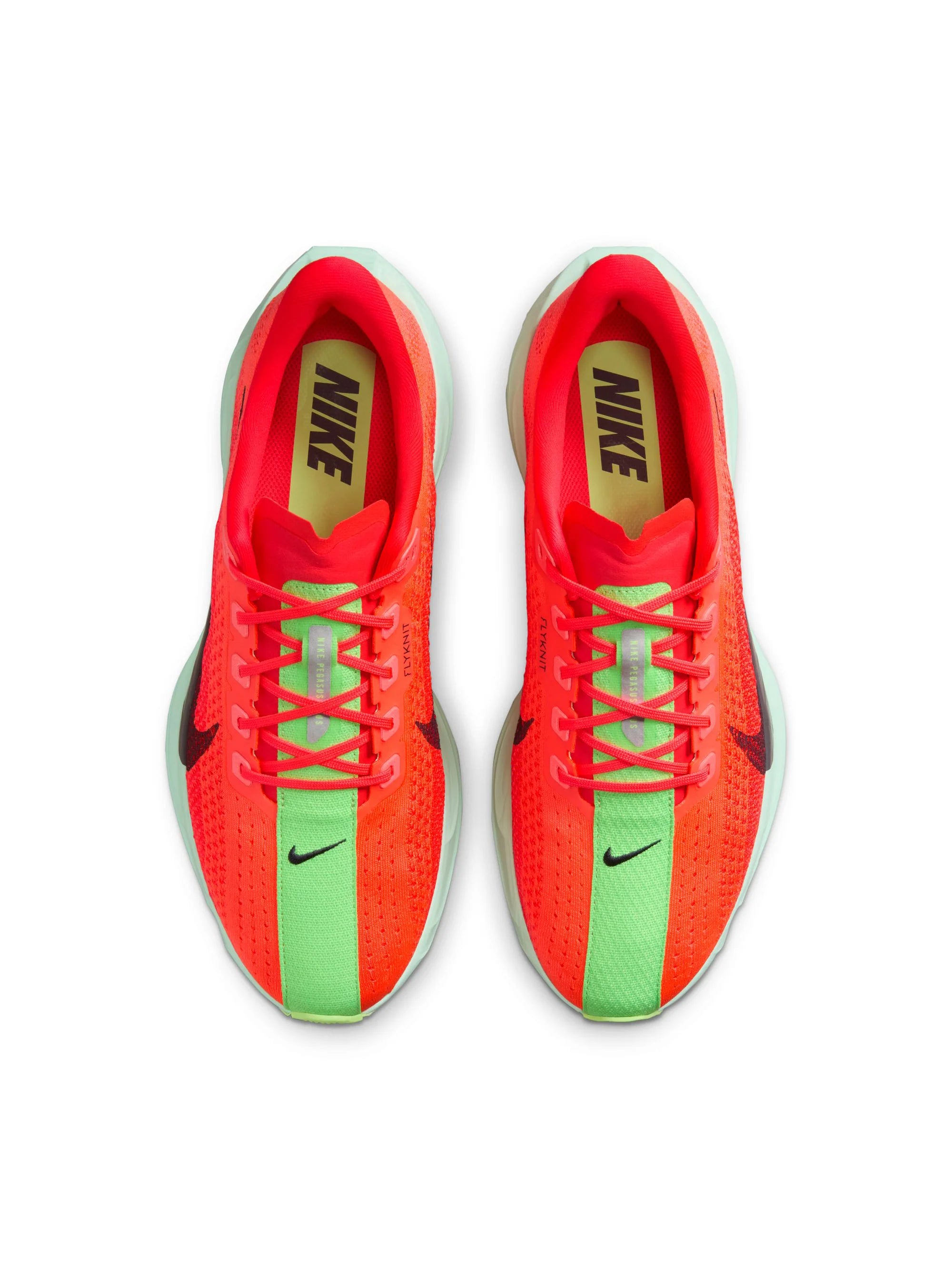 Nike Pegasus Plus Womens Shoes
