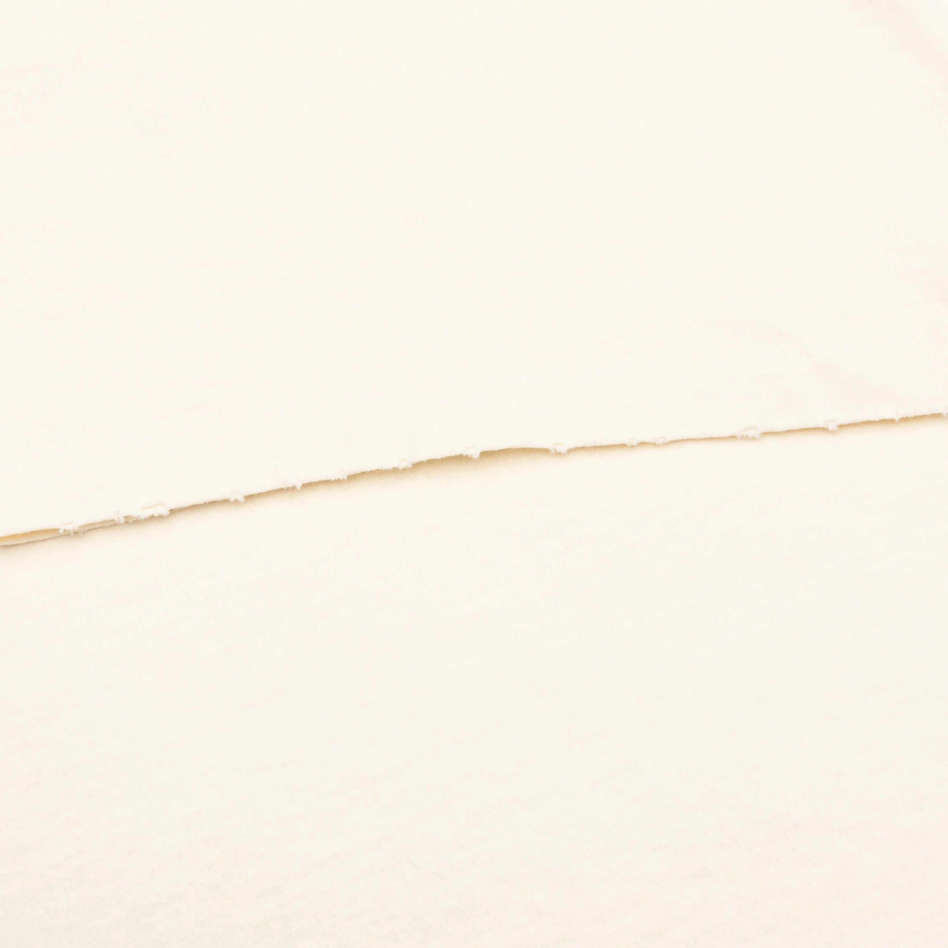 Student Coach Tee Archival White