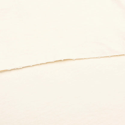 Student Coach Tee Archival White