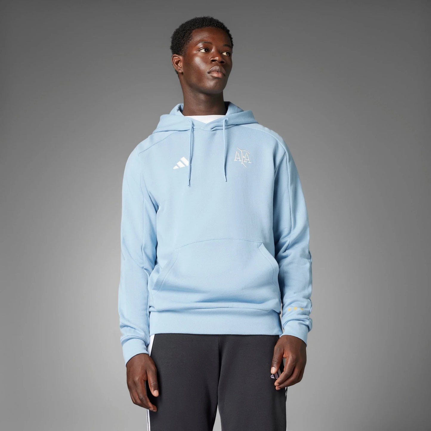 adidas Argentina Anniversary DNA Hoodie Sky White
