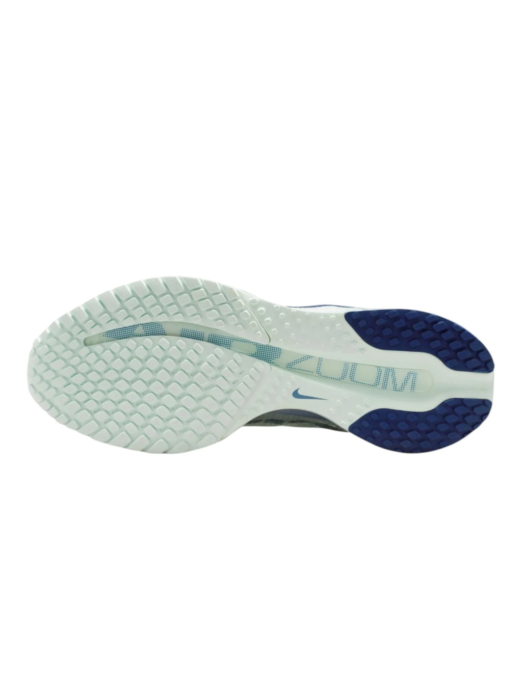 Nike Pegasus Premium Womens Shoes