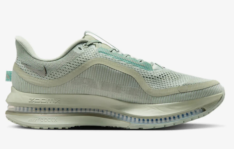 Mens Nike Pegasus Premium