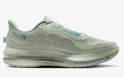 Mens Nike Pegasus Premium
