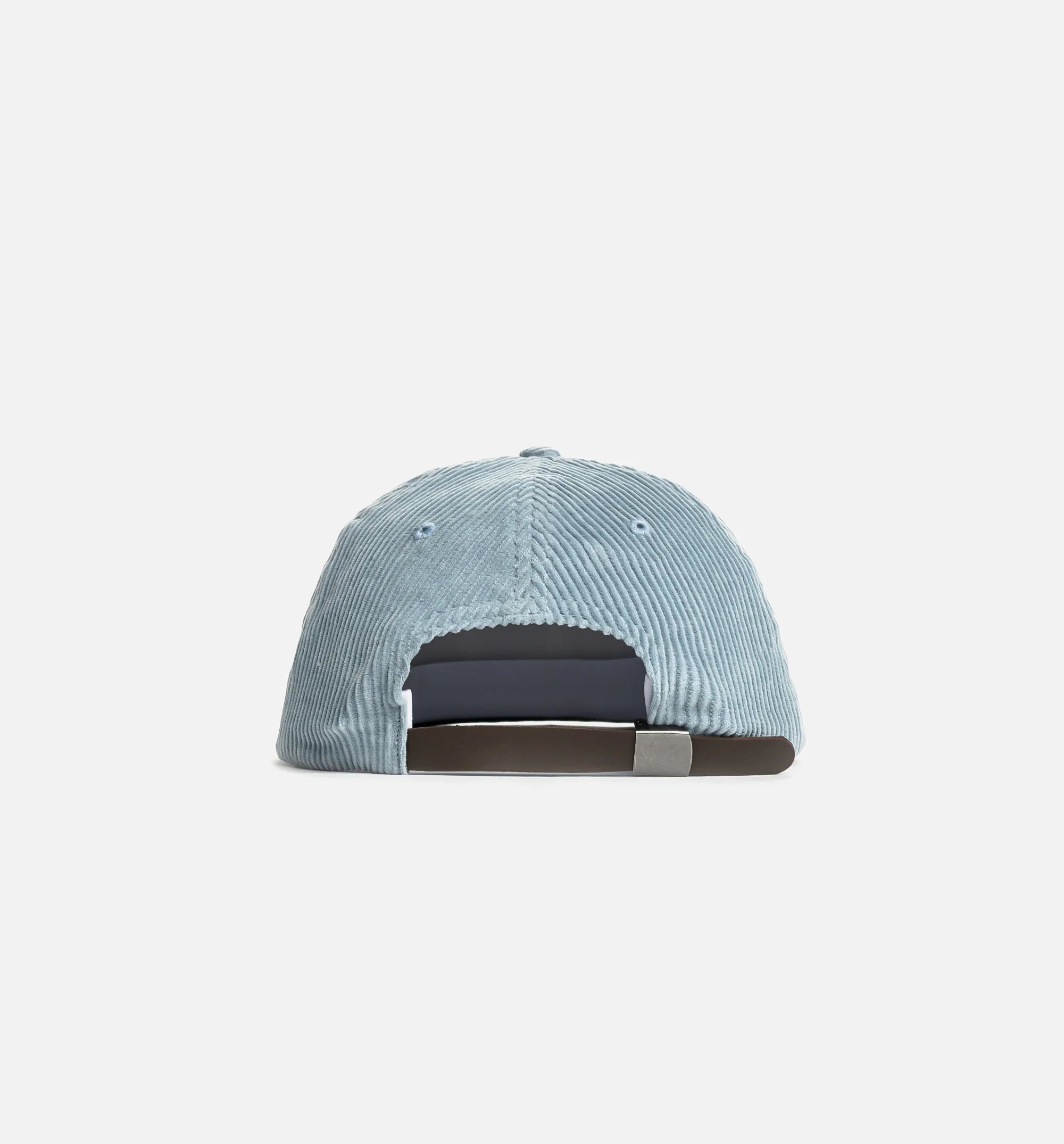 The Zoomies 6 Panel Mens Hat Blue