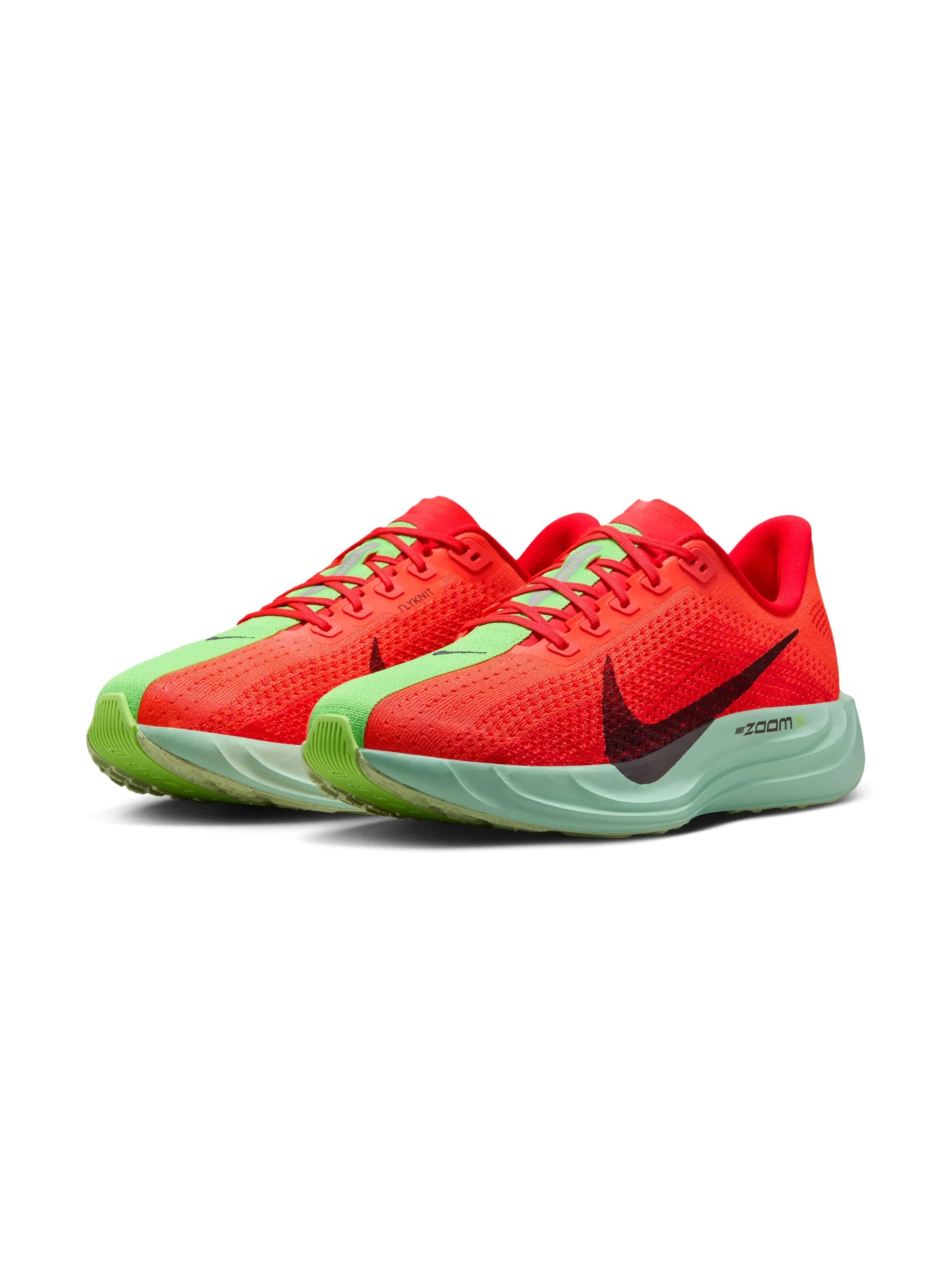 Nike Pegasus Plus Womens Shoes