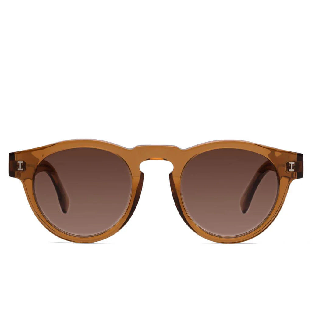 Leonard Sunglasses Cider