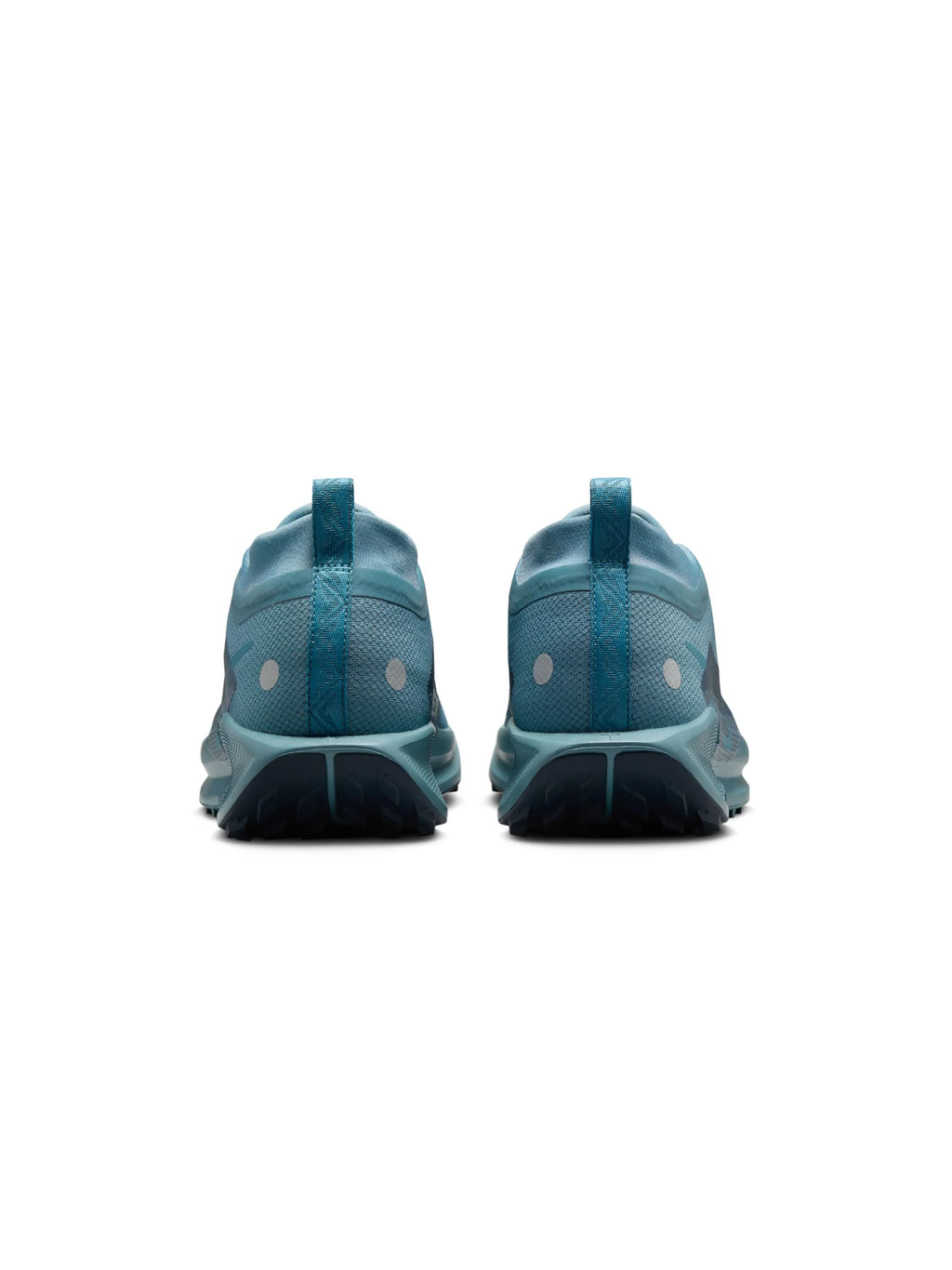 Nike Pegasus Trail 5 GORE TEX Mens Shoes
