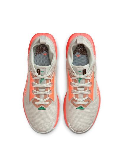 Nike Pegasus Trail 5 GORE TEX Womens Shoes