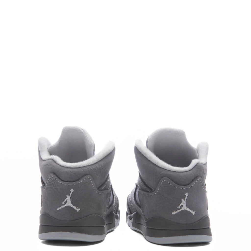 Air Jordan 5 Retro Wolf Grey TD Light Graphite White Wolf Grey
