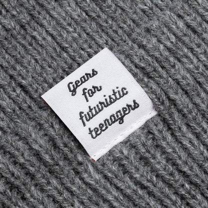Classic Beanie Gray